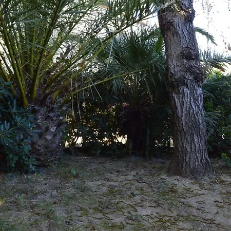 2 Pieces 4 Personnes Cyprien Sc090-207 Apartment Saint-Cyprien (Pyrenees-Orientales)