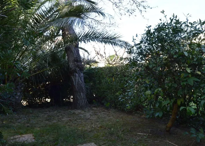Avec Piscine Collectif Cyprien Sc090-207 * סן סיפריאן